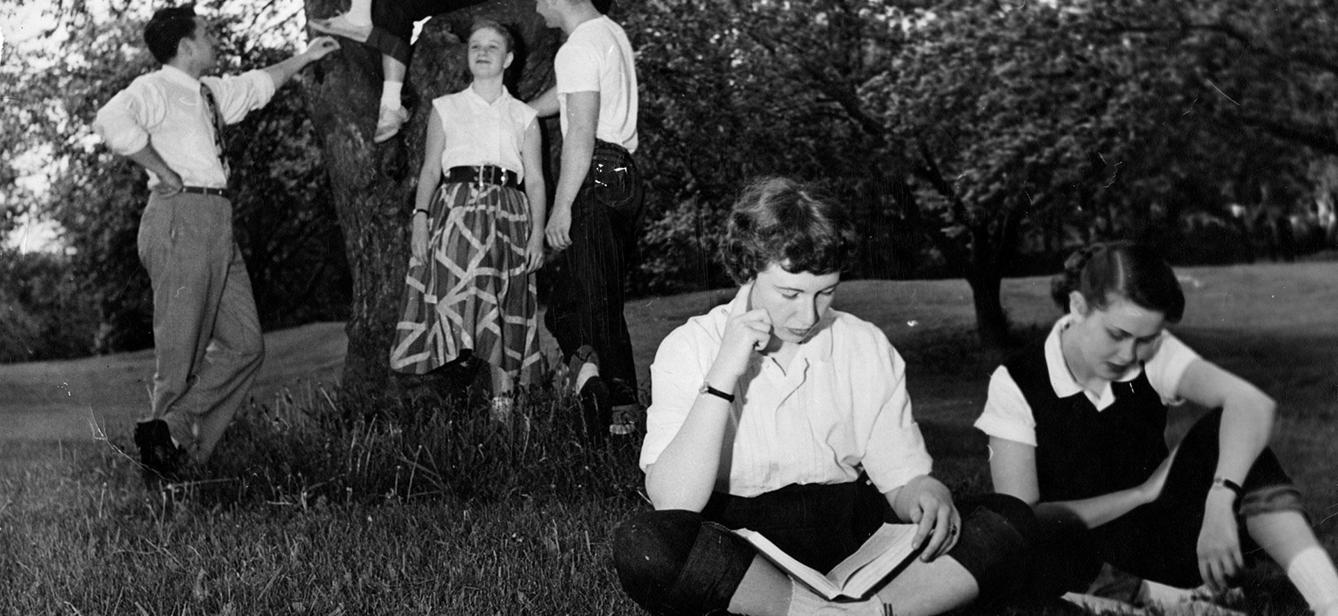 一群学生在树下读书聊天.