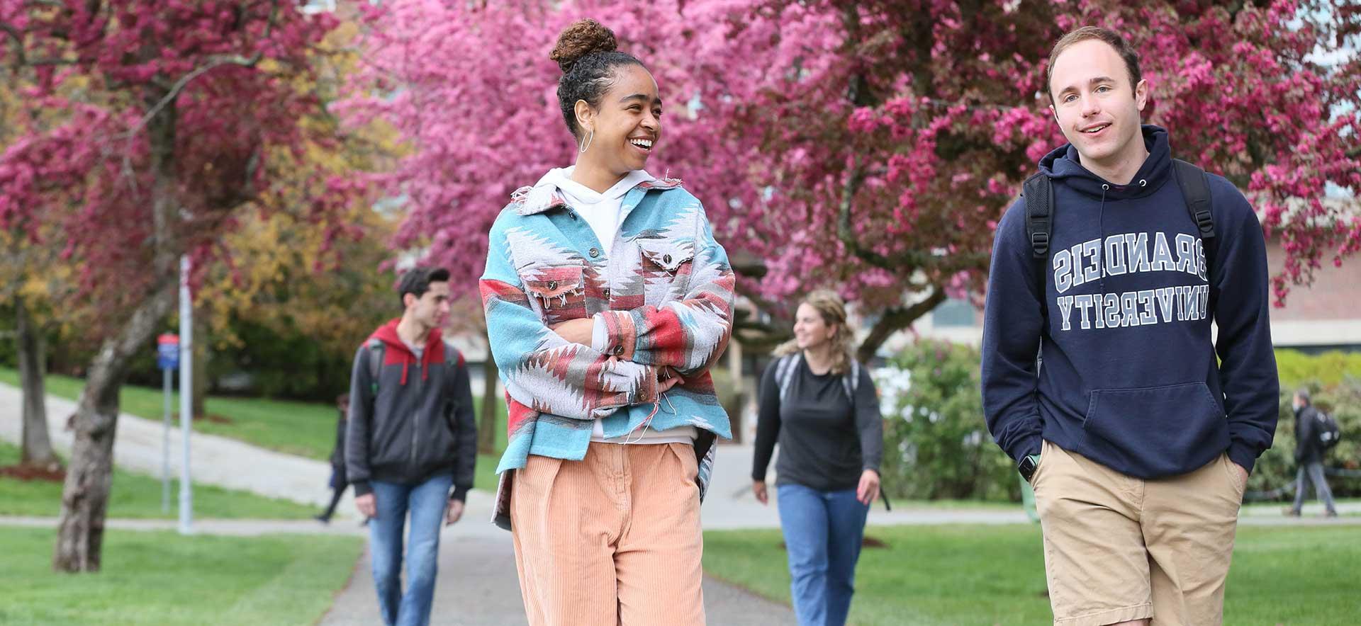 Brandeis students walk on campus, pink trees in bloom in the background